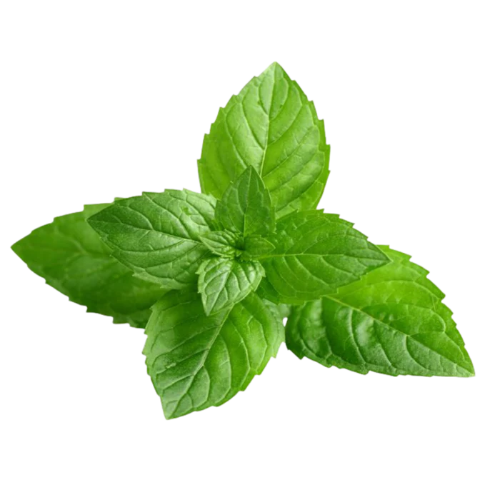 HerbaPure | Quit smoking and quickly cleanse your lungs of damage